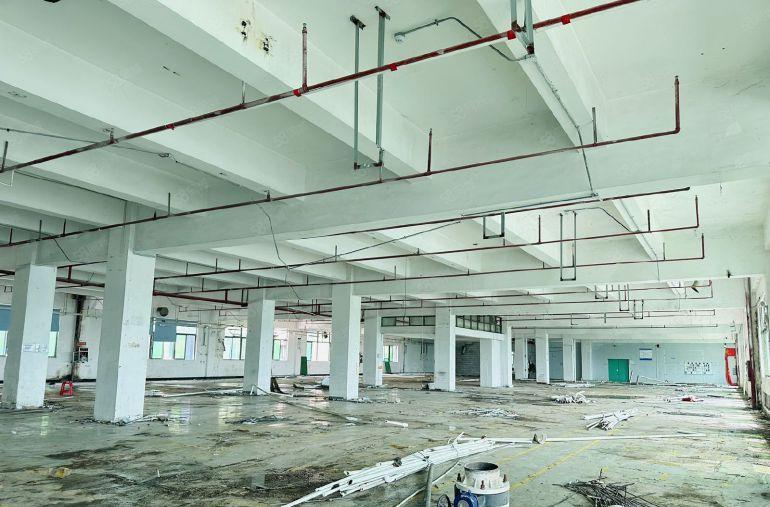 塘厦石鼓工业园29298平大小可分租花园式厂房