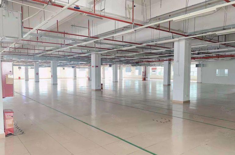 塘厦田心全新厂房1楼1480租27二楼1480租19