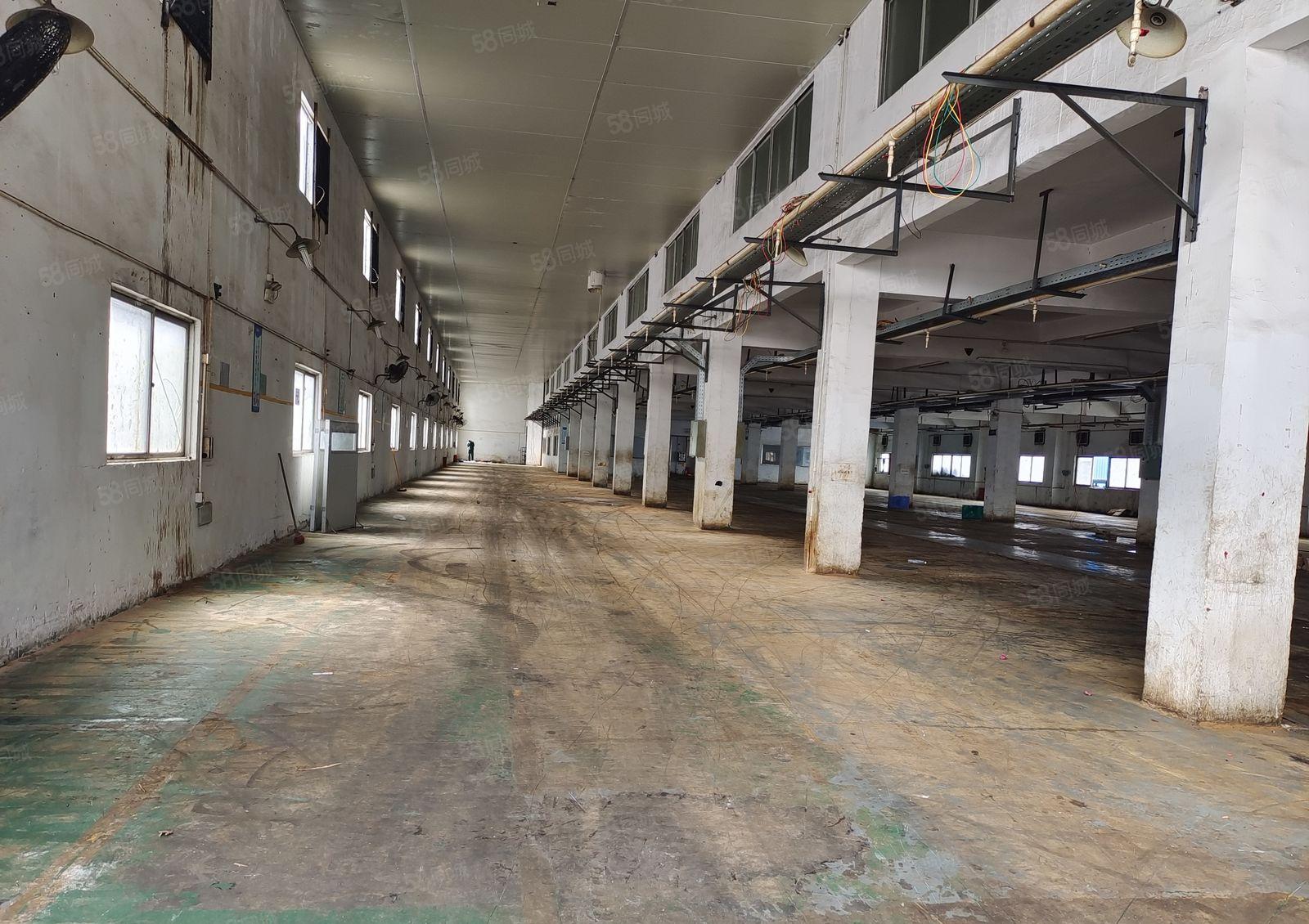 塘厦一手房东直租厂房，一楼实积面积1800平方，合同久