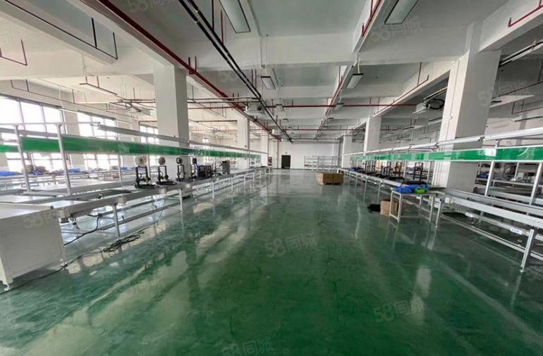 塘厦临深红本厂房尾盘低价出租！带装修水电消防喷淋3吨货梯拎包