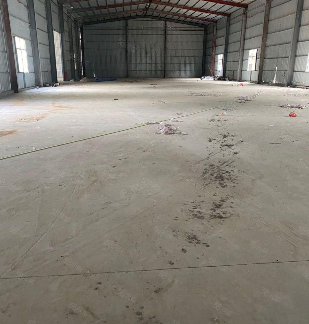 塘厦石马单一层钢构4000平！原房东无公摊