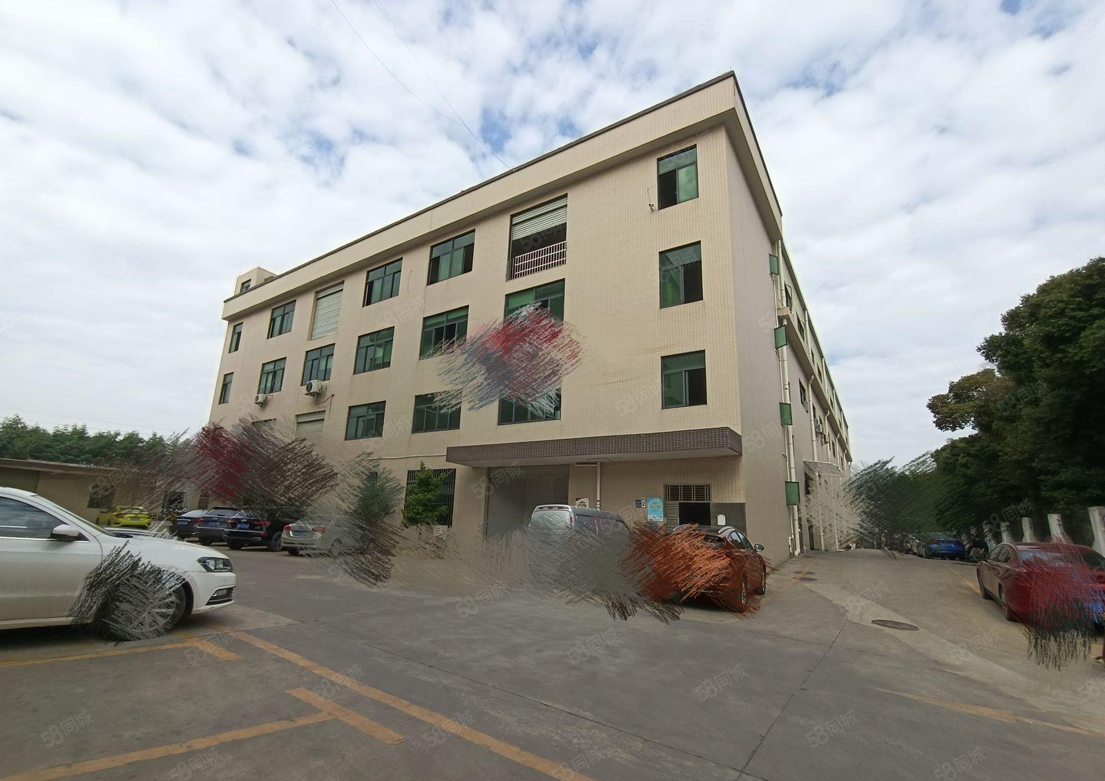 塘厦石鼓新出楼上500平带装修，现成办公室，可低价甩