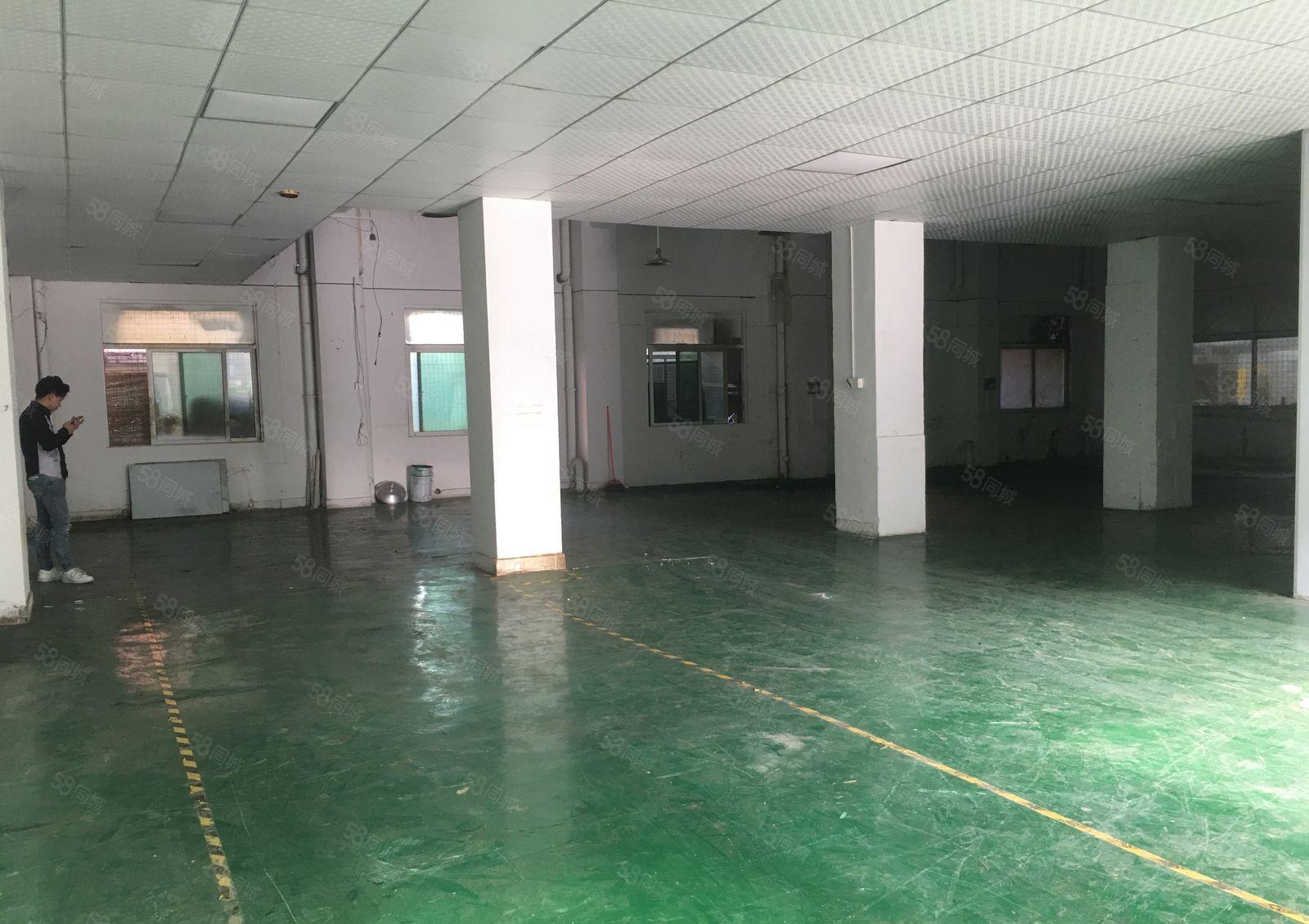 塘厦莲湖新出一楼400平方，带装修