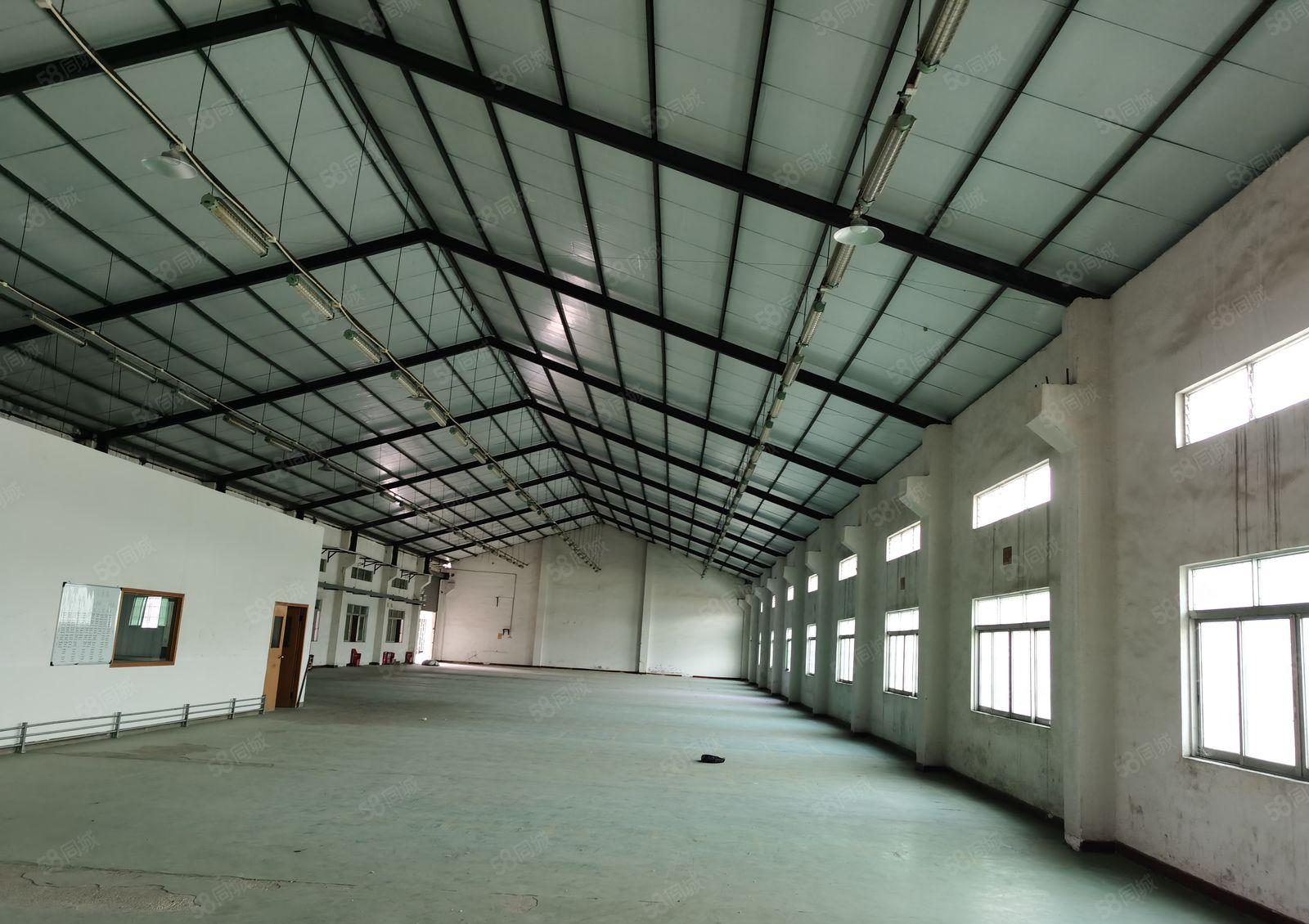 厂房出租    原房东大马路边独院单层厂房5300平米