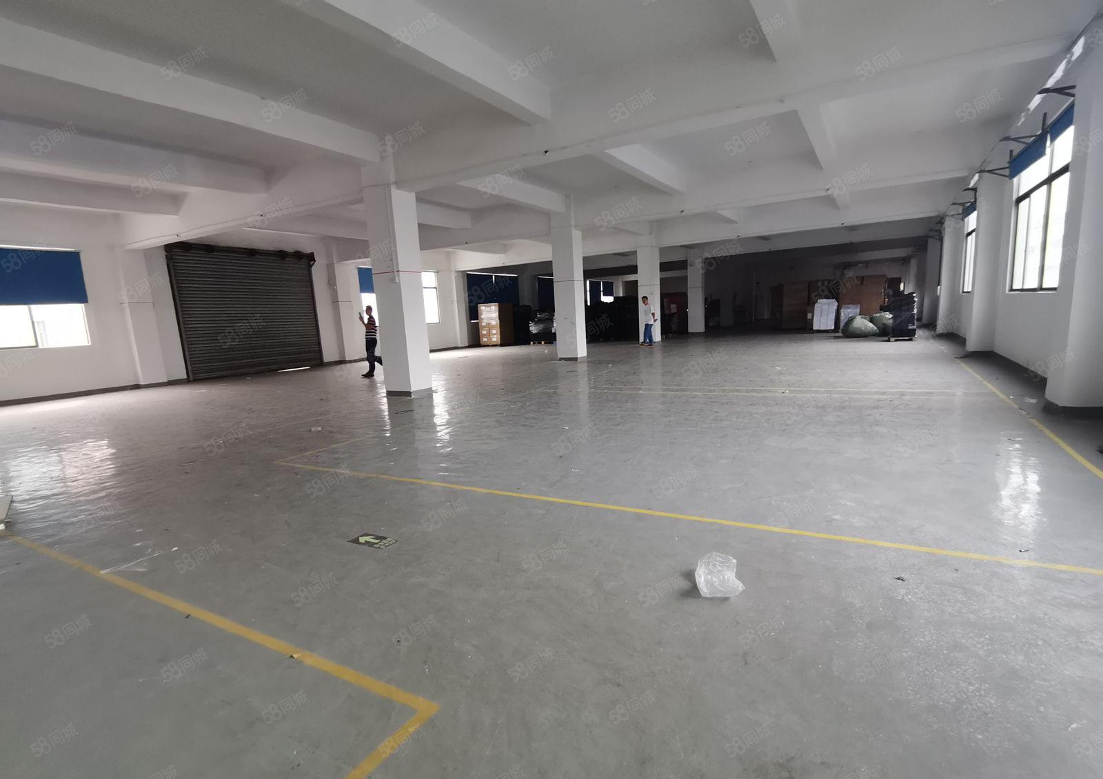 2百起分租，塘厦138工业区原房东楼上1千平红本仓库厂房出租