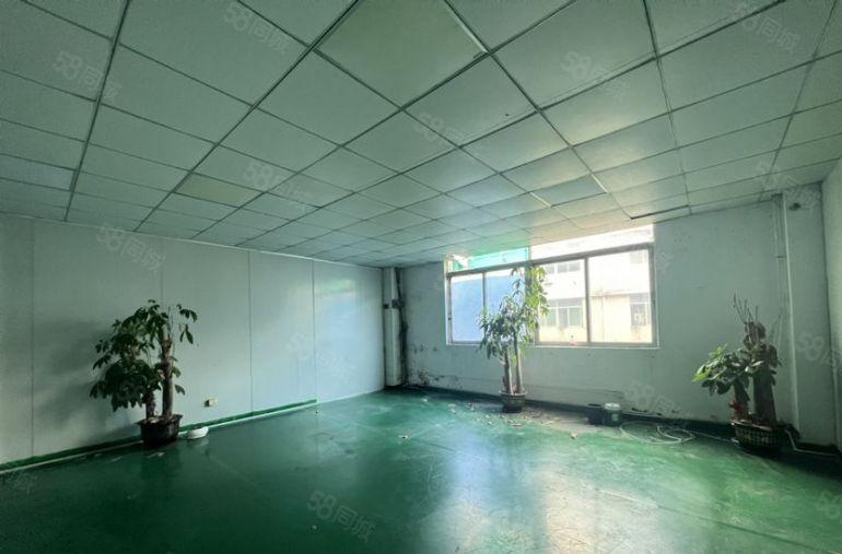 塘厦高速路口楼上标准厂房精装修700平，有吊顶地坪漆独立隔间