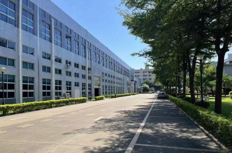 上市形象9元活动价塘厦1000平起分单层面积6666平出租