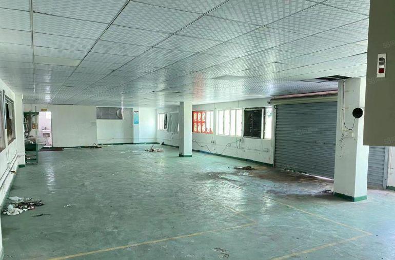 捡漏12元！ 塘厦石潭埔三楼650平出租 原房东带精装修