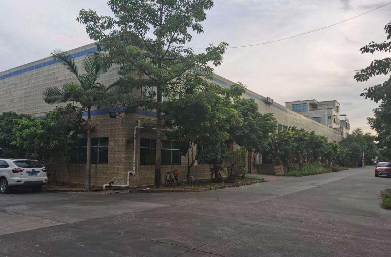 16元起租塘厦石鼓独门独院2000平单一层钢构厂房出租可分租