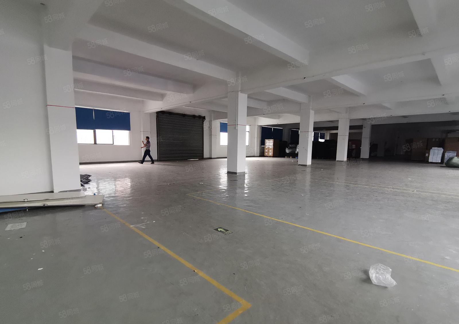 2百起分租，塘厦138工业区原房东楼上1千平红本仓库厂房出租