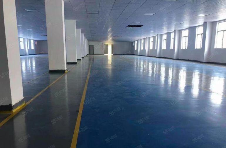 出租特价16无尘车间，标准工业园区消防证件齐全，精装无尘