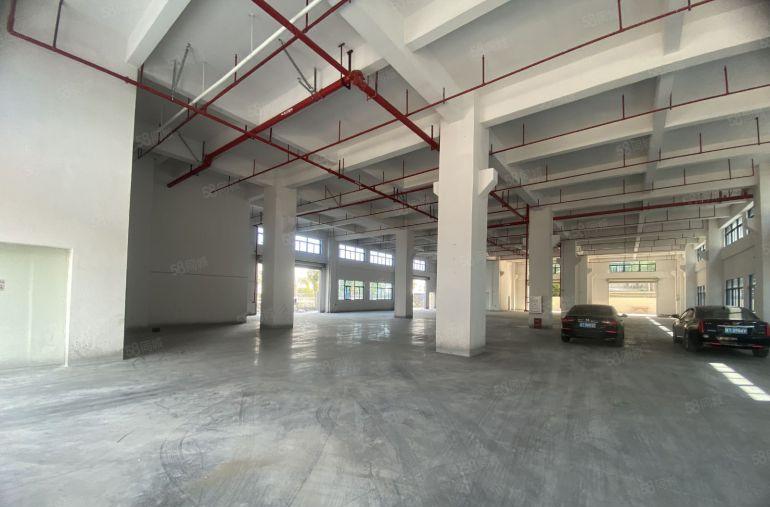 塘厦独院一楼1400平仓库厂房出租，带牛角位不限行业可进大车