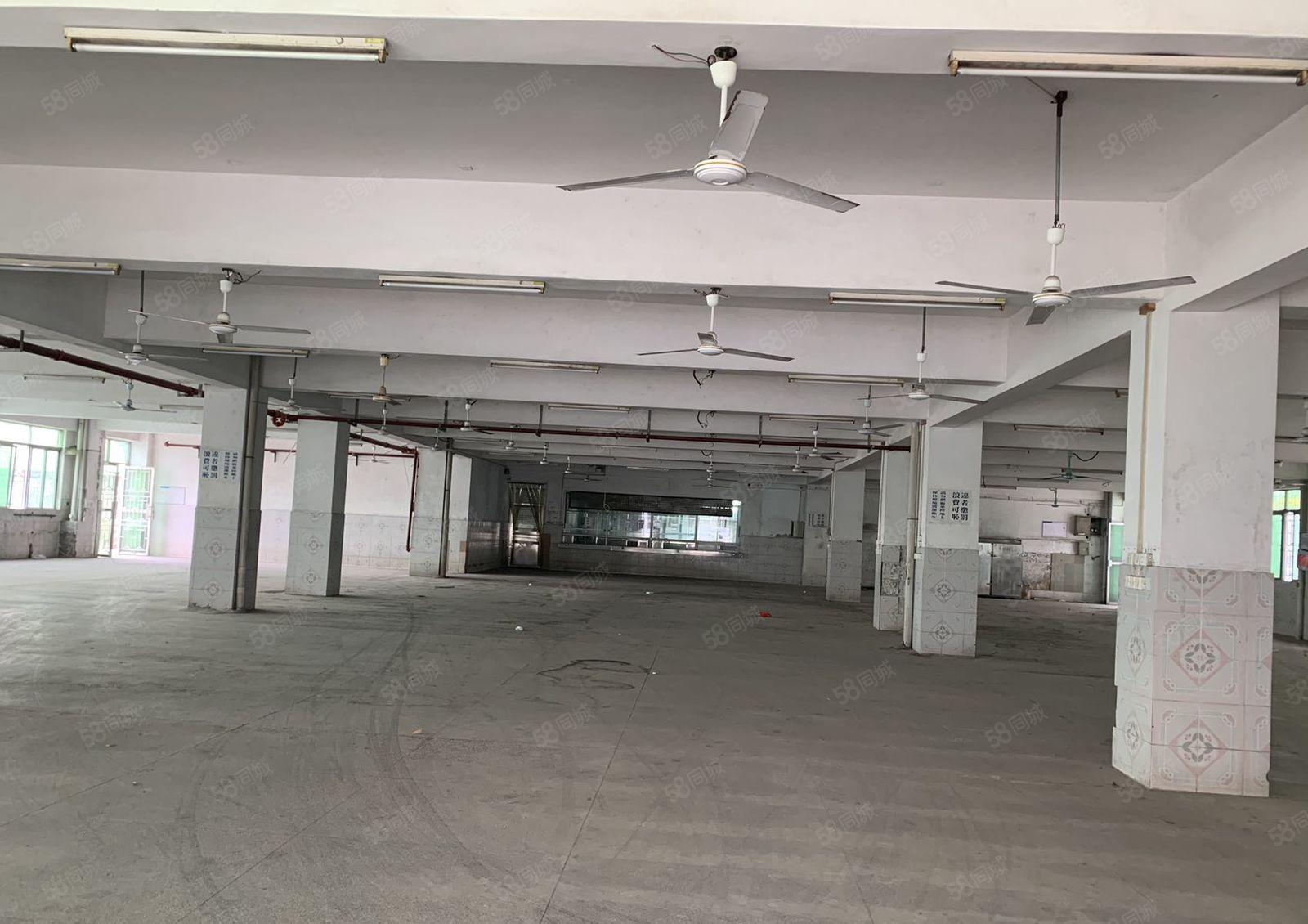 塘厦清湖头大园区楼上2300平整层出租，地理位置优越，绿化好