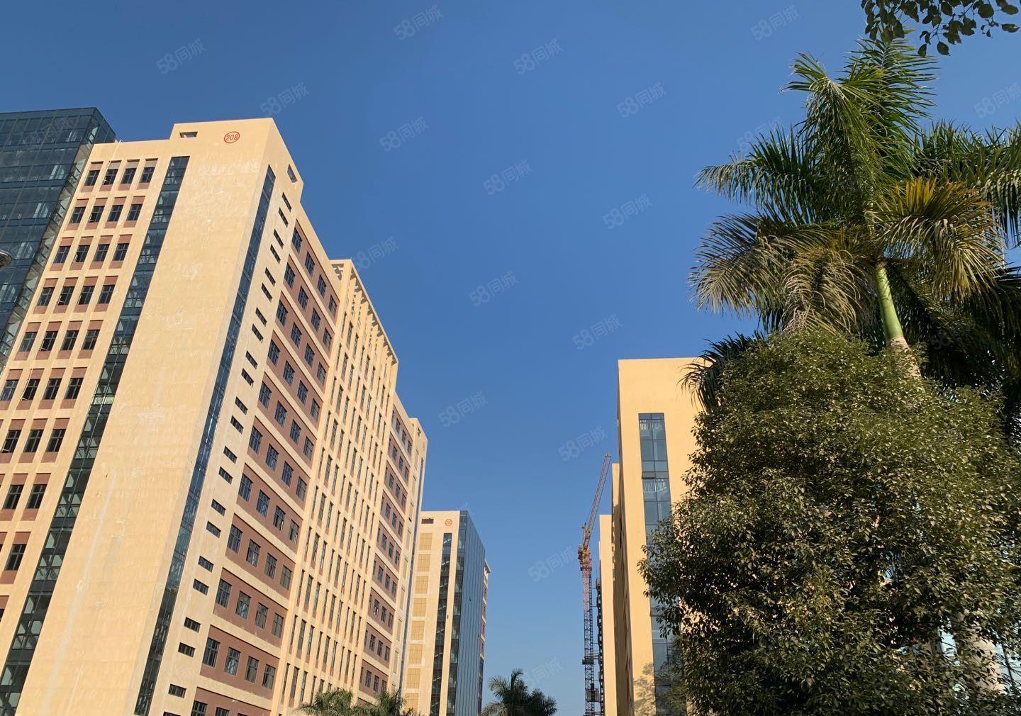 塘厦全新厂房出租，单层面积1490平，空地大，配套齐全！