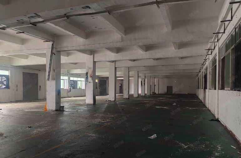 塘厦科苑城12元出租标准厂房一楼1200平方米五金加工