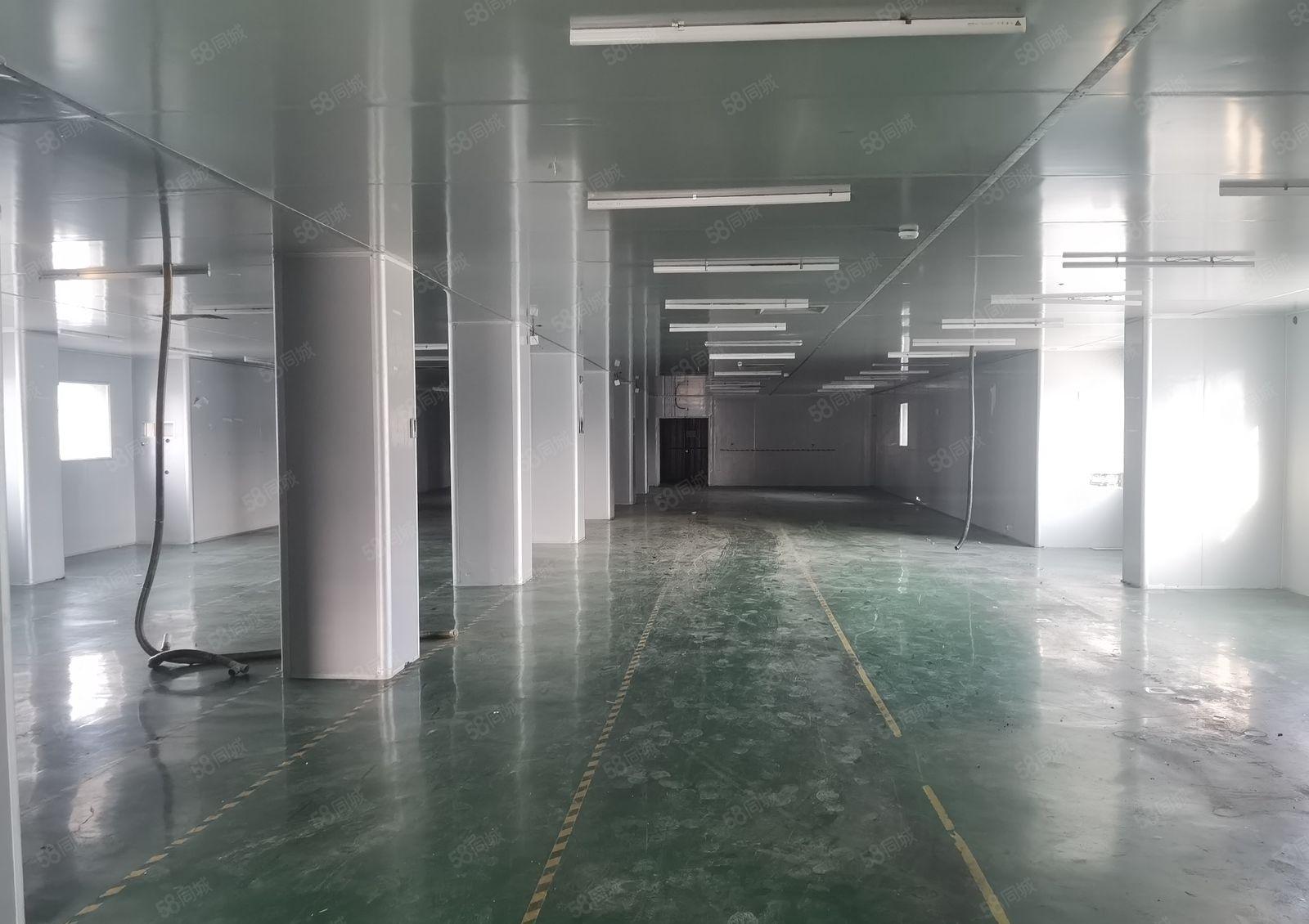 塘厦自带洁净车间 790平 0公滩 拎包即可生产 月租16元