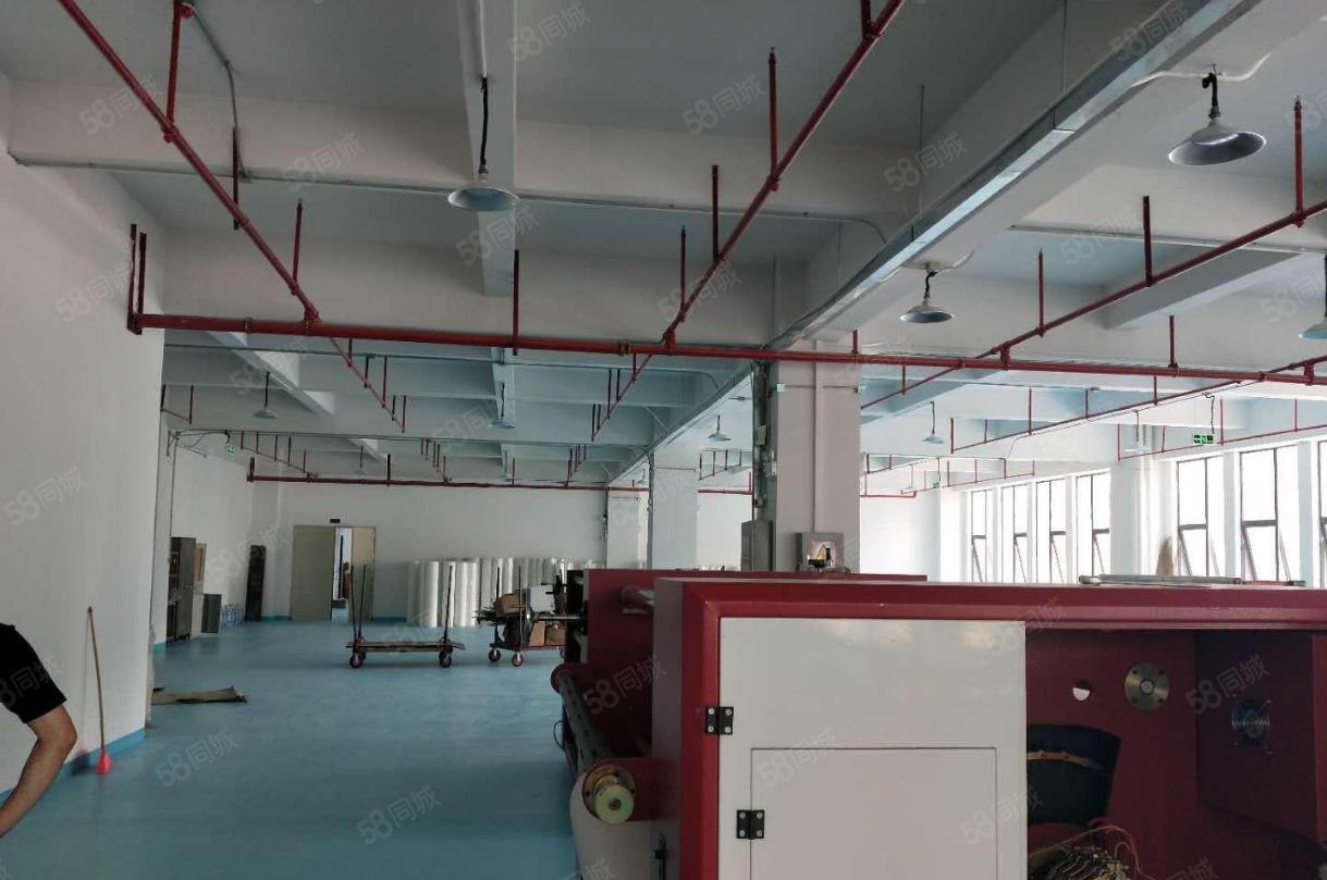 塘厦田心大型工业区小面积厂房 靠近两个高速出入口