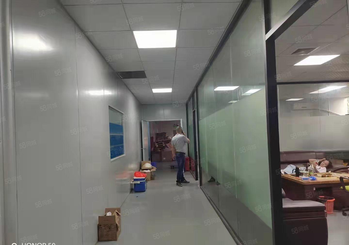 无转让费!塘厦平山外环高速口出租小独院1300平价格及其实惠