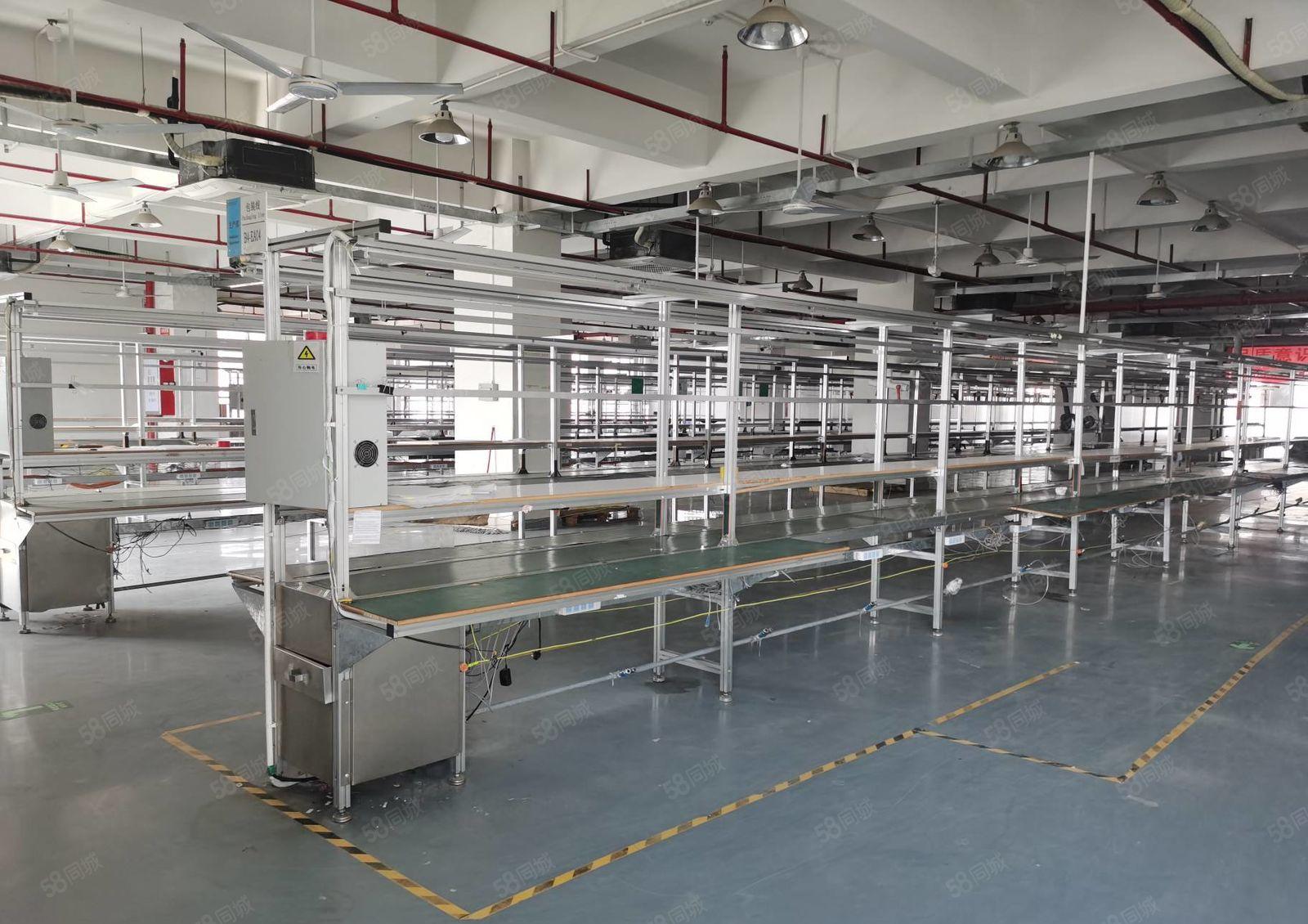 塘厦诸佛岭原房东楼上2300平米带装修厂房，拎包入驻