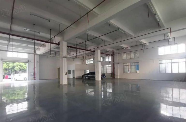 塘厦科苑城一楼600平仓库厂房出租，消防喷淋水电全可进大车