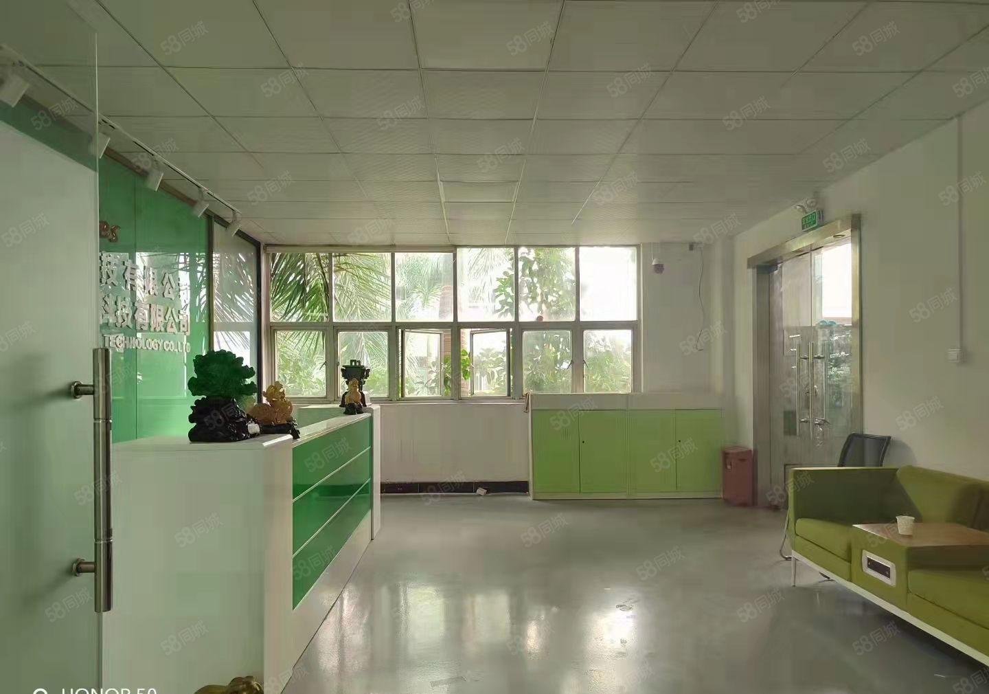 无转让费!塘厦平山外环高速口出租小独院1300平价格及其实惠