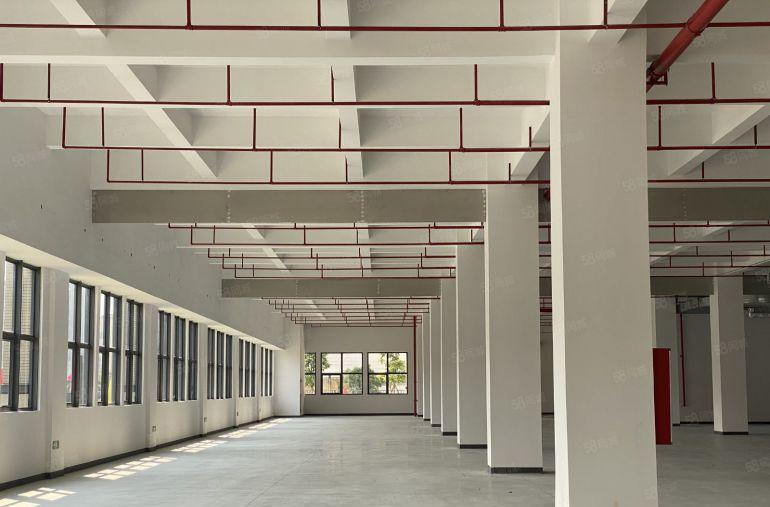 企业必选！全新小独栋厂房招租，可办环评，园林式环境