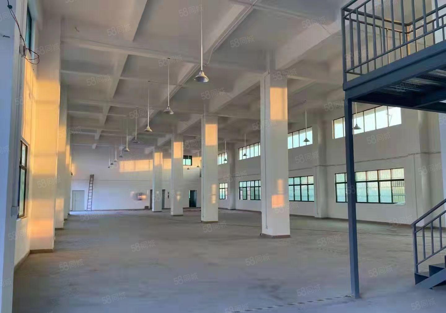 塘厦镇石鼓新出标准一楼1000平米厂房出租