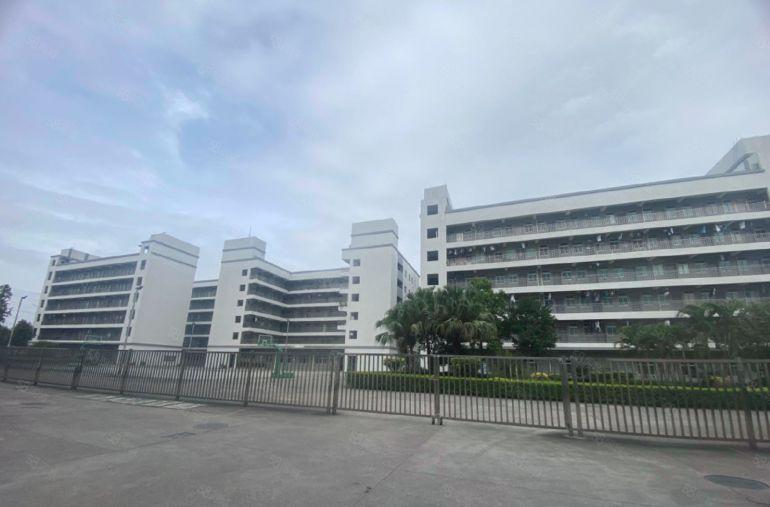 一房东！一楼！19元 ! 靠深圳1300可分租