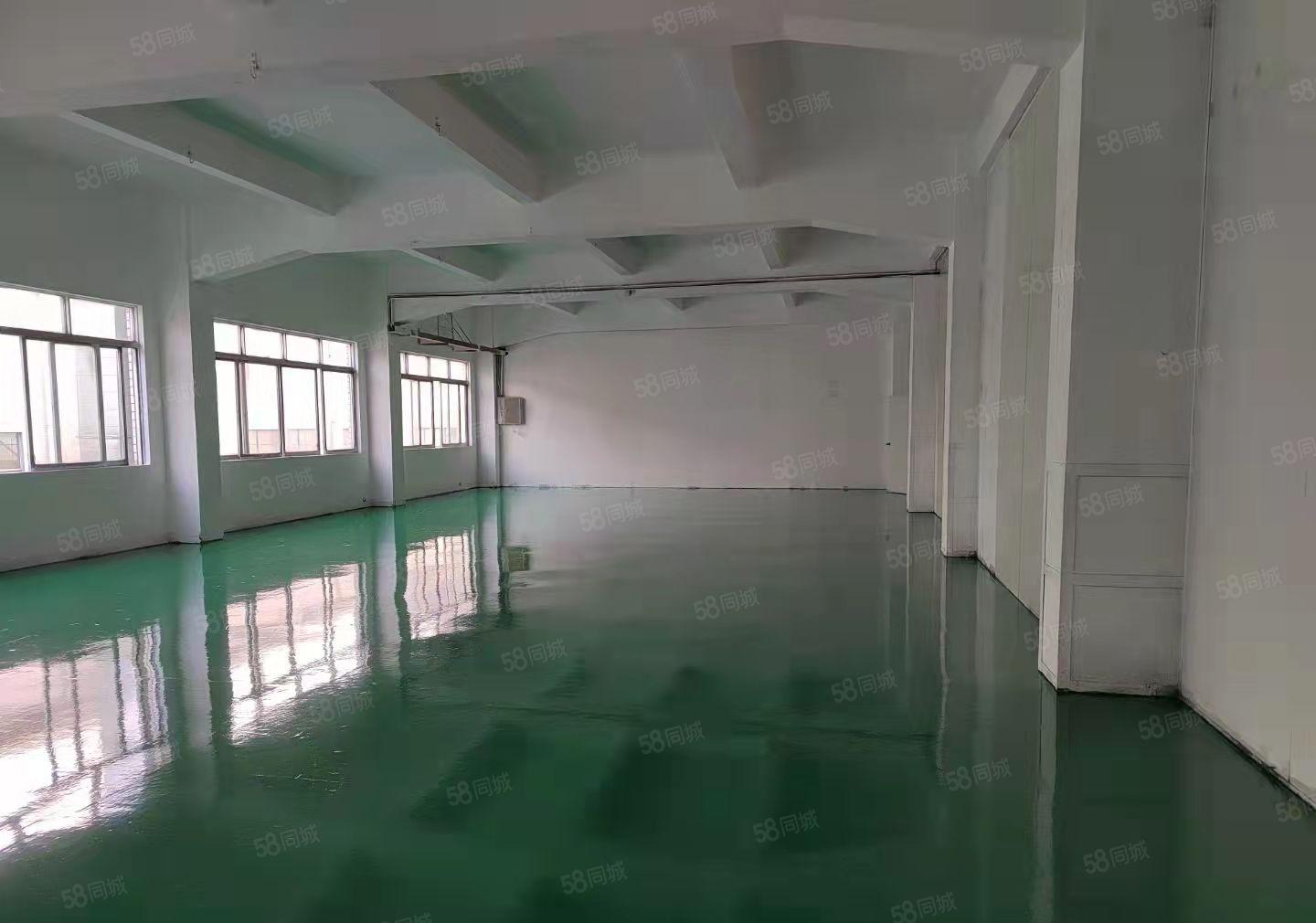 东莞塘厦新出楼上标准厂房1300平方