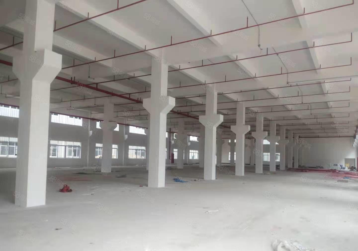 东莞塘厦外环高速口2万平米全新红本独院厂房出租一楼7.2米高