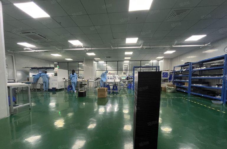 塘厦沙湖原房东直租5楼1250平方，千级无尘车间，无需转让费