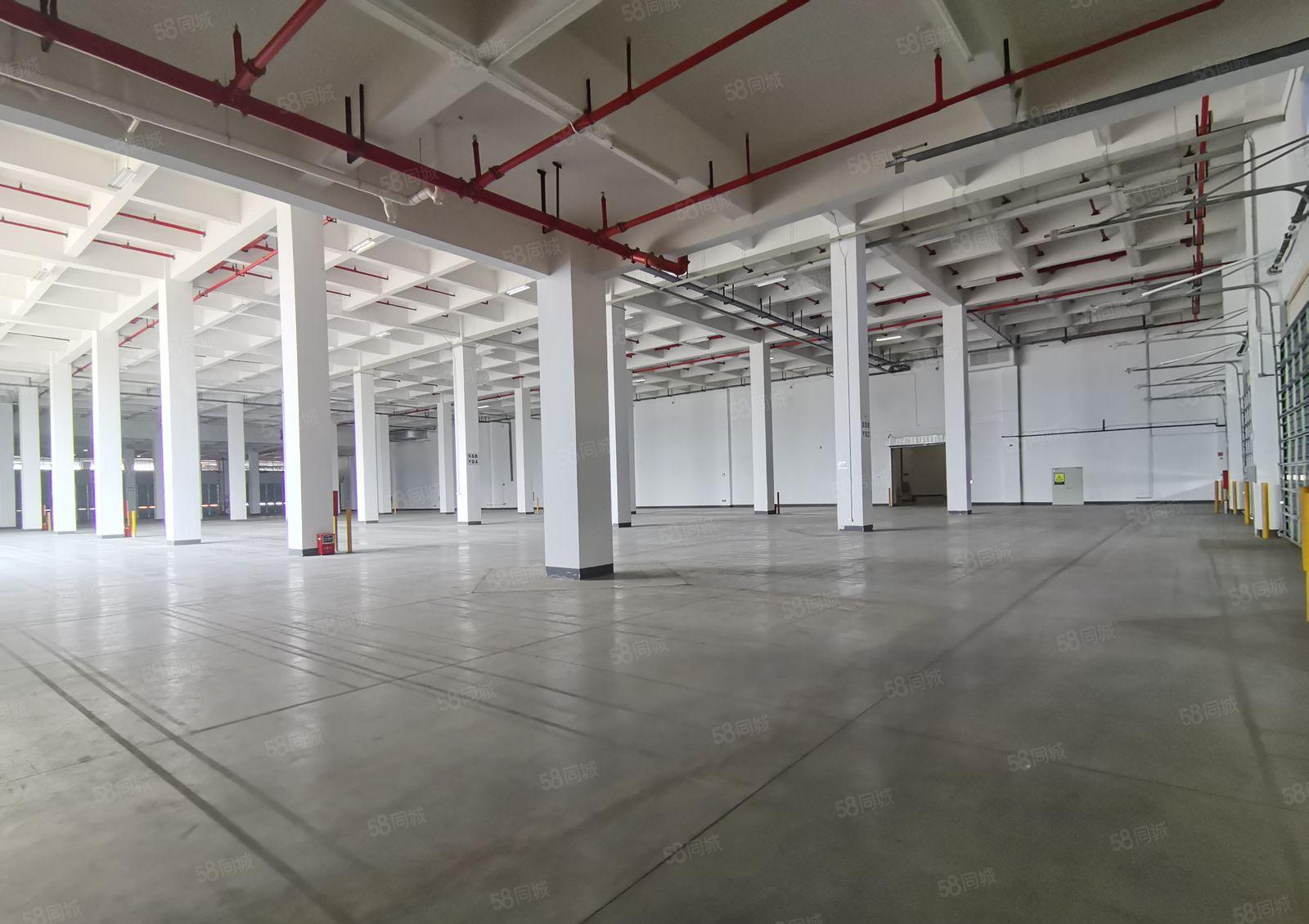 塘厦大坪高速独门独院2880平红本仓库厂房出租可分租可办环评