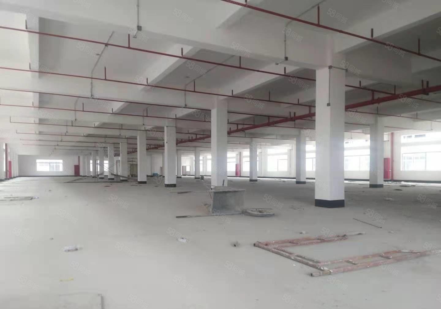东莞塘厦外环高速口2万平米全新红本独院厂房出租一楼7.2米高