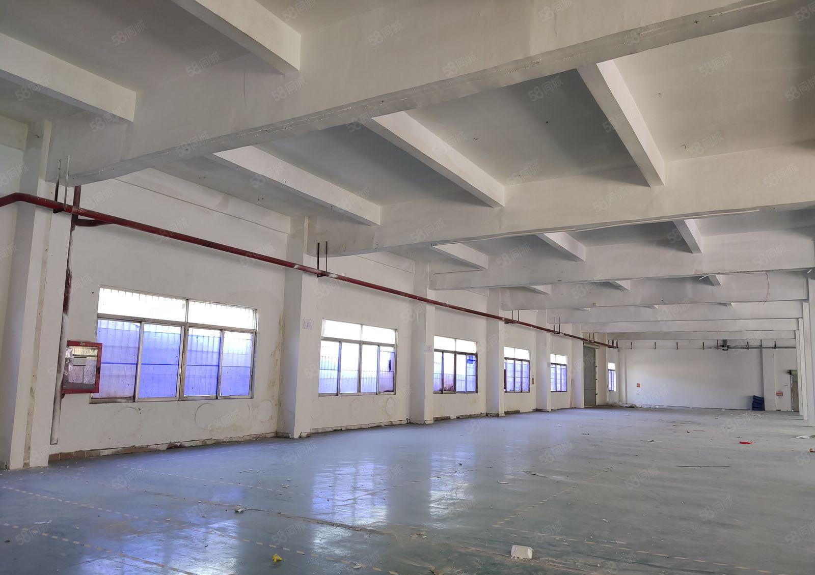 塘厦田心工业区独院一楼1600平带红本标准仓库厂房出租可分租