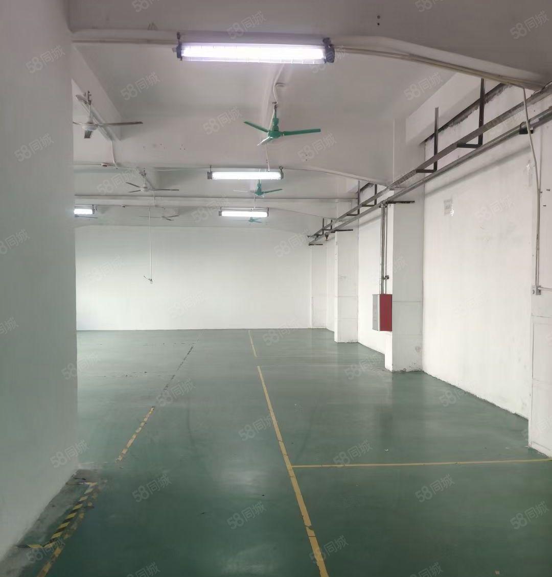 塘厦龙背岭刚空出楼上标准厂房600平，实际面积出租独院近高速