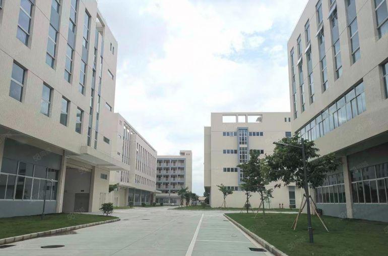 塘厦原房东自建厂房，带红本，8000万平米出租，可分租