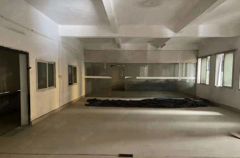 塘厦大路边10米独院钢构厂房低价出租，可喷粉喷漆家具仓库