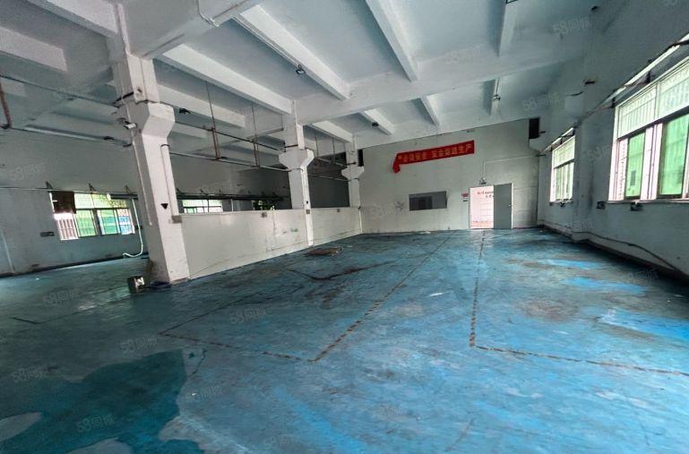 塘厦外环高速旁标准1楼800平方！高6米，可架行车