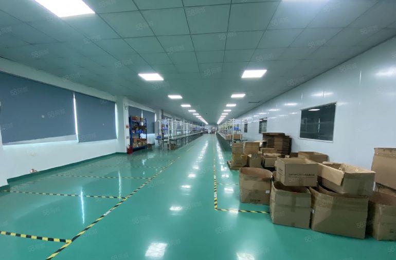 精装修电子车间1300平方！无公摊！现场实拍图片