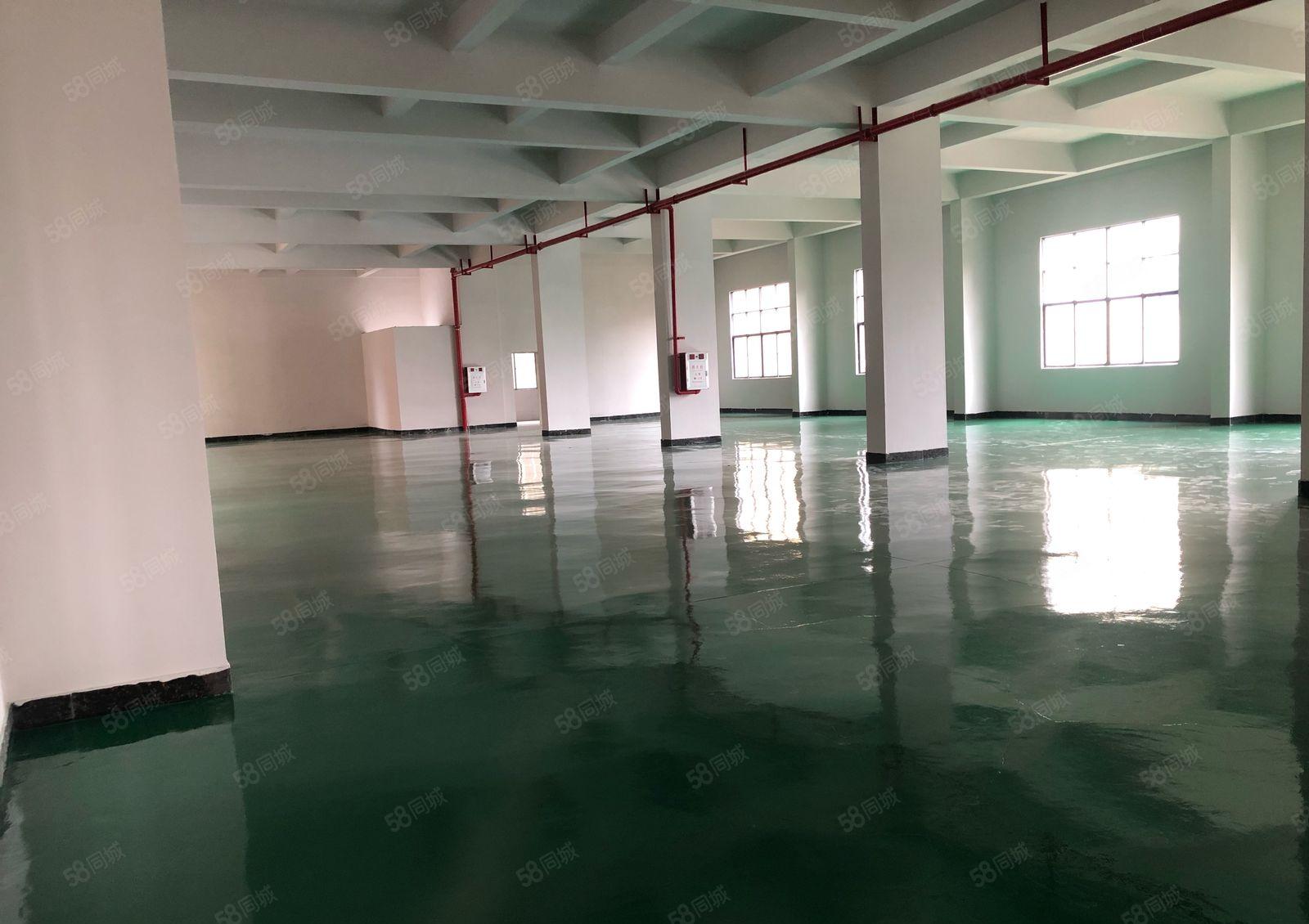 塘厦石马原房东楼上1000平万