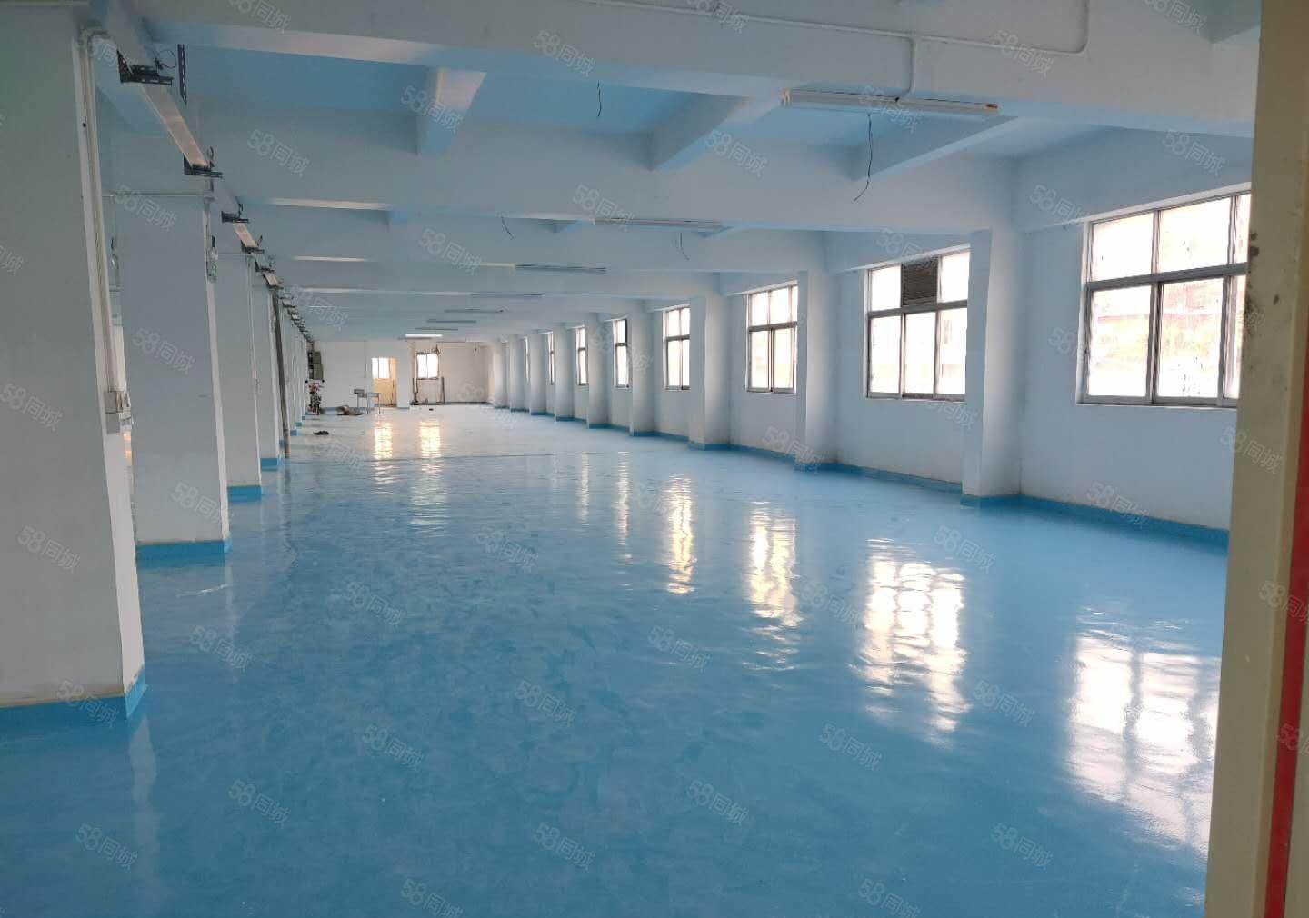 2百平起分租！塘厦田心工业区原房东1680平独栋仓库厂房出租