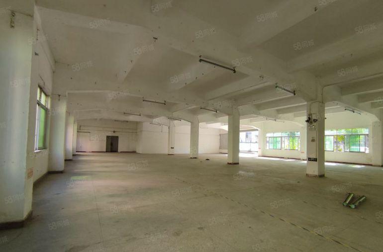 塘厦镇龙背岭村标准一楼800平方招租