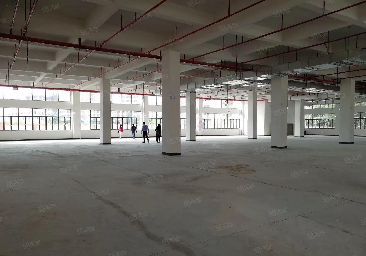 塘厦镇全新独门独院12000平方独门独院高薪企业厂房招租