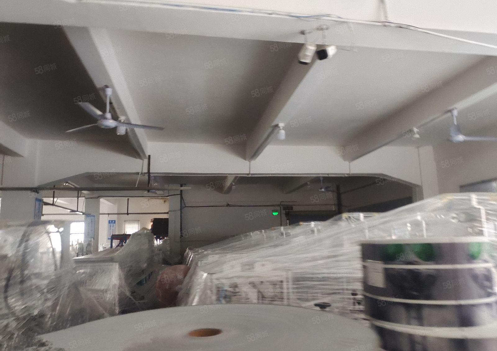 塘厦一楼新出560平方厂房，园区空地大