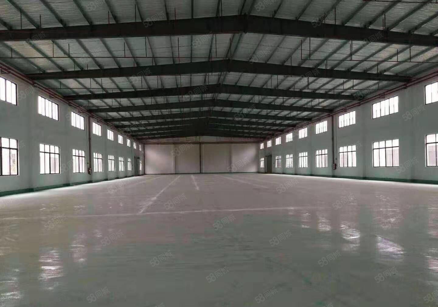 塘厦新空出钢结构单一层厂房1350平方，超大空地，停车位充足