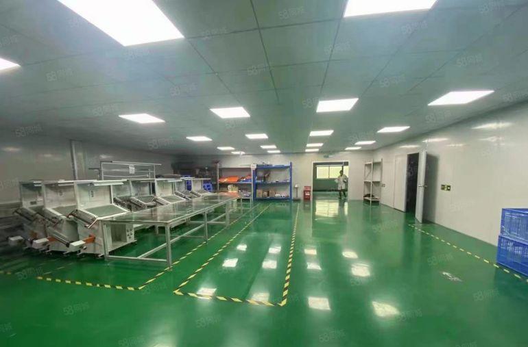 无转让费塘厦原房东独院厂房1280平豪华装修无尘车间 可分租