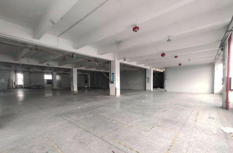 塘厦高速出口标准一楼2800平方，滴水6米，空地大