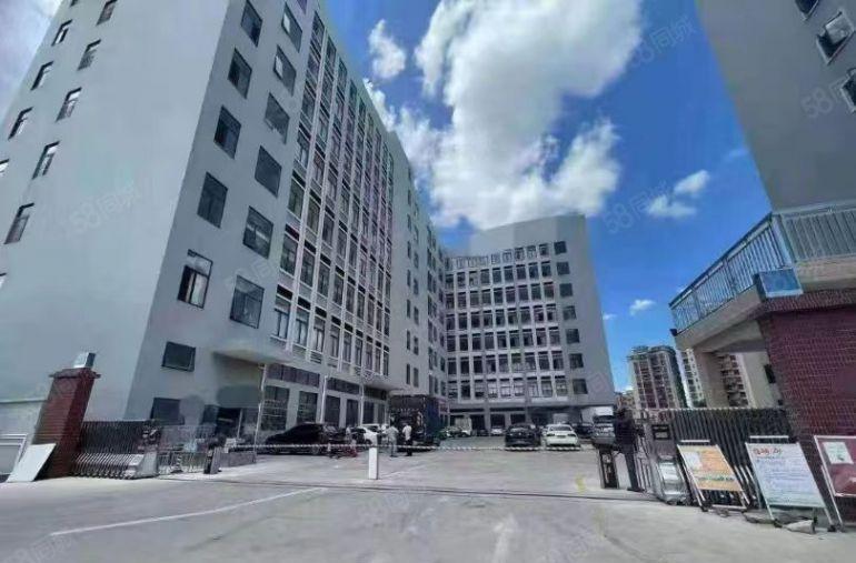 塘厦蛟乙塘原房东直租5楼1450平方，全层吊顶地坪漆精装修！