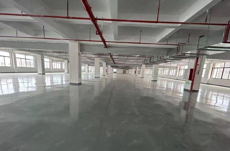 塘厦桥陇原房东直租楼上5000平，全新地坪漆精装修，消防合格