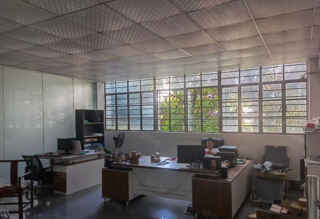 新出沙湖楼上520平租19元，精装修，挺车位充足